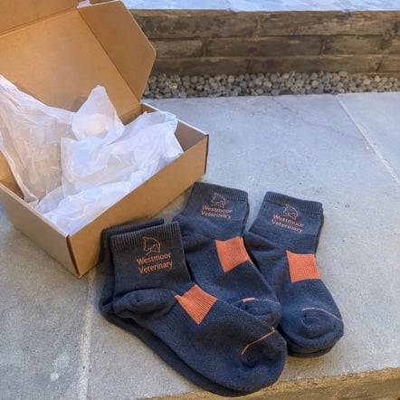 Quarter-Height Running Socks